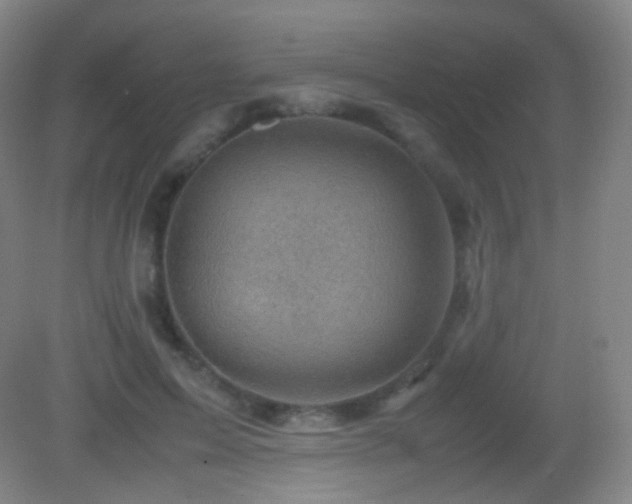 X0000082990599200702011431