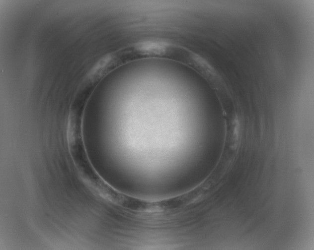 X0000082990600200702011431