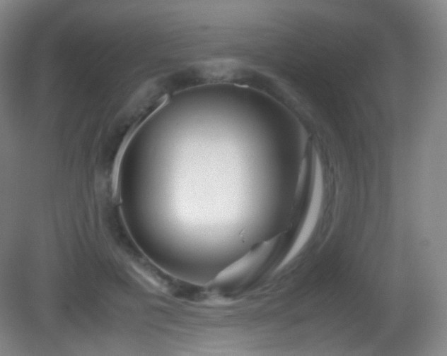 X0000082990601200702011431