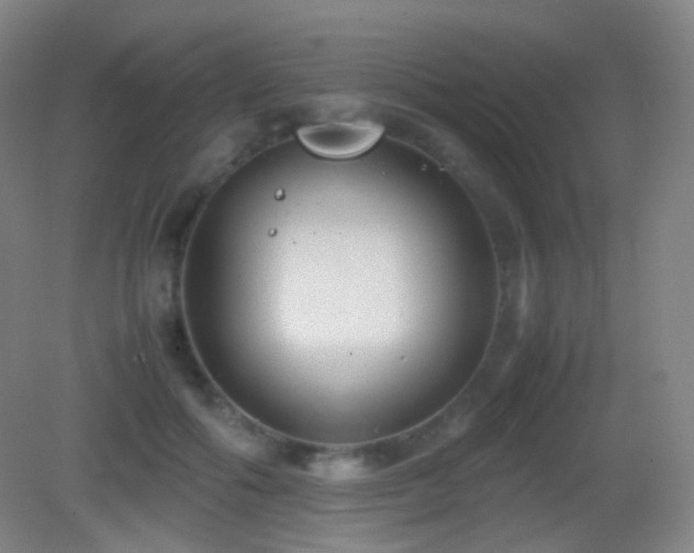 X0000082990602200702011431