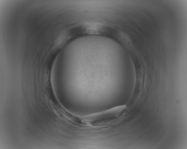 X0000082990603200702011431