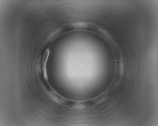 X0000082990604200702011431