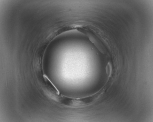 X0000082990605200702011431