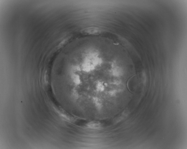 X0000082990606200702011431