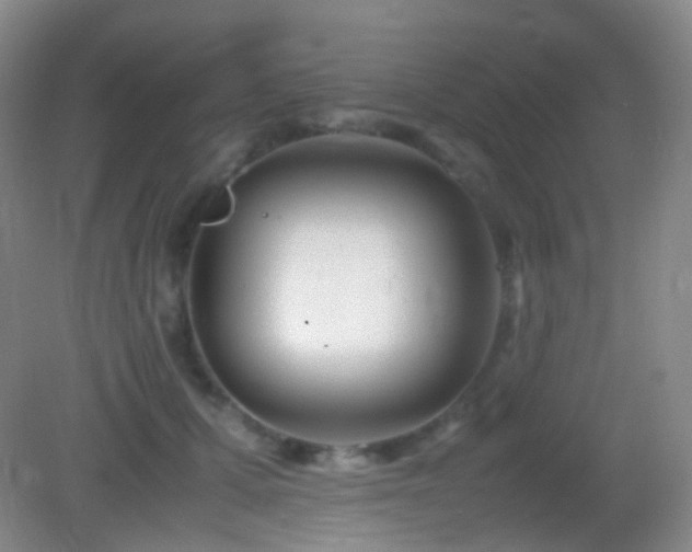 X0000082990607200702011431