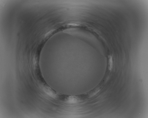 X0000082990608200702011431