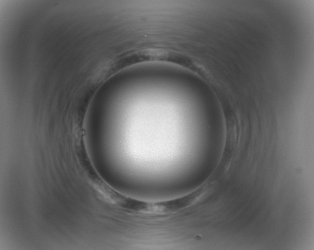 X0000082990609200702011431