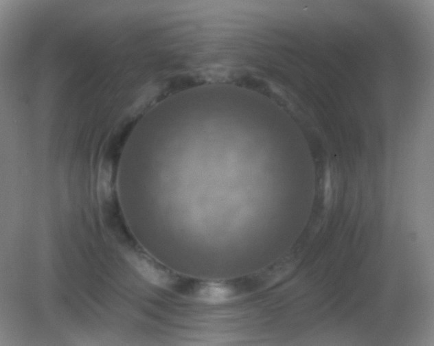 X0000082990610200702011431