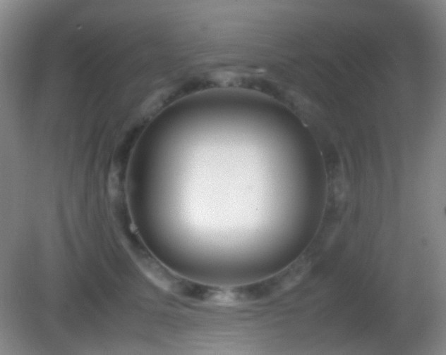 X0000082990611200702011431