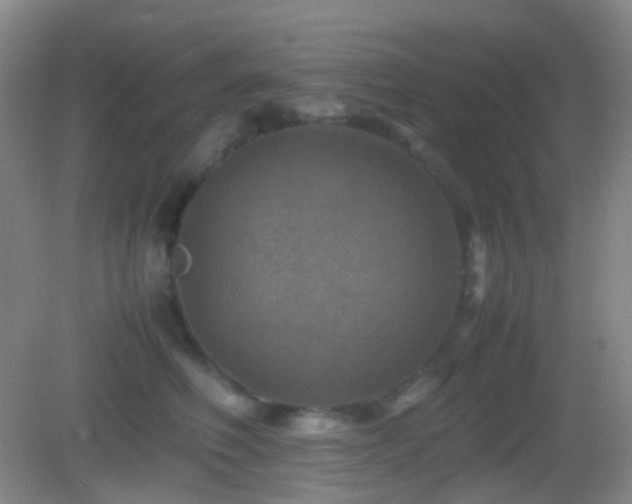 X0000082990614200702011431