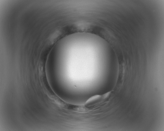 X0000082990615200702011431