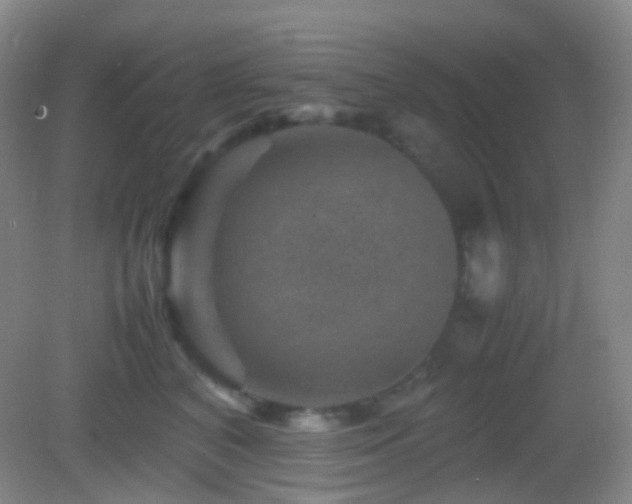 X0000082990616200702011431