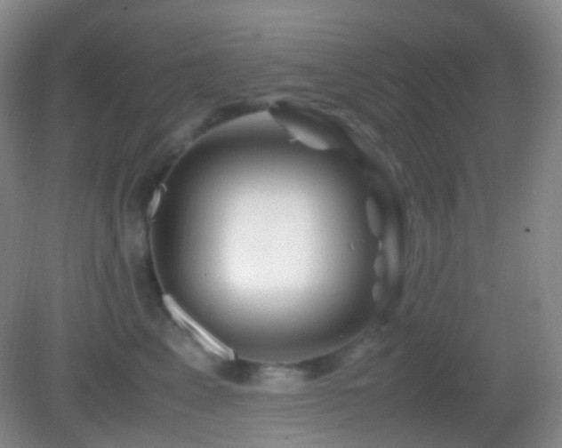 X0000082990617200702011430