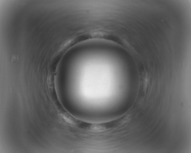 X0000082990619200702011430