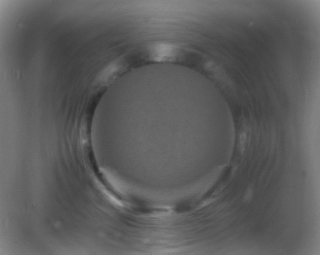 X0000082990620200702011430