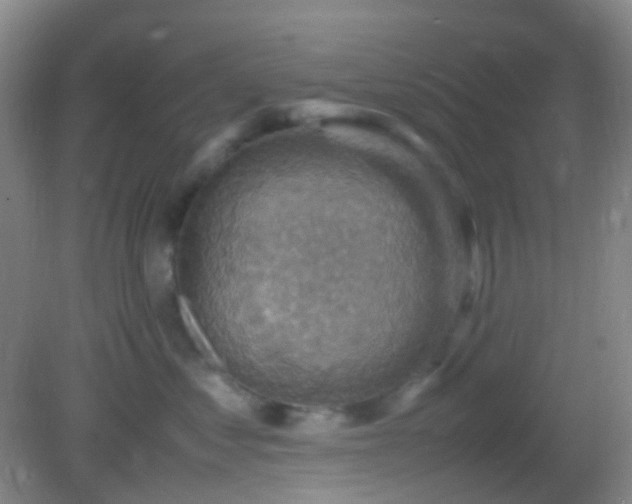 X0000082990621200702011430