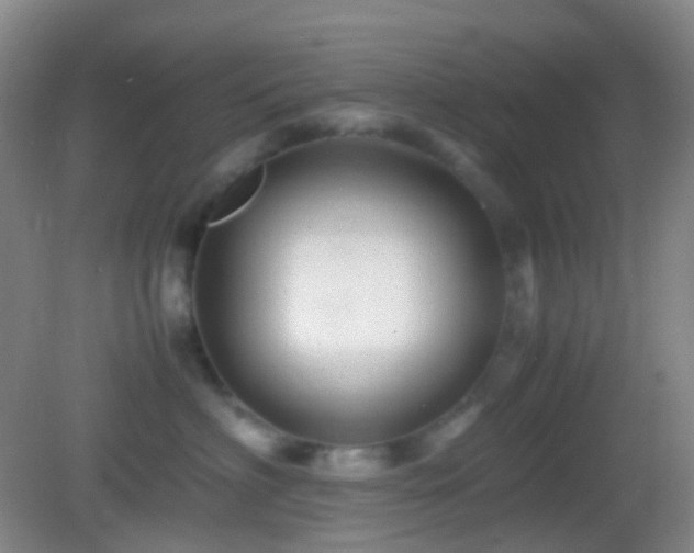 X0000082990622200702011430