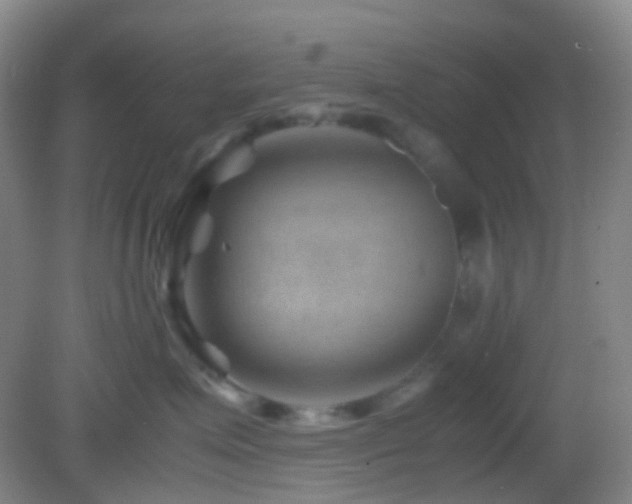 X0000082990623200702011430