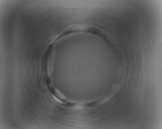 X0000082990624200702011430