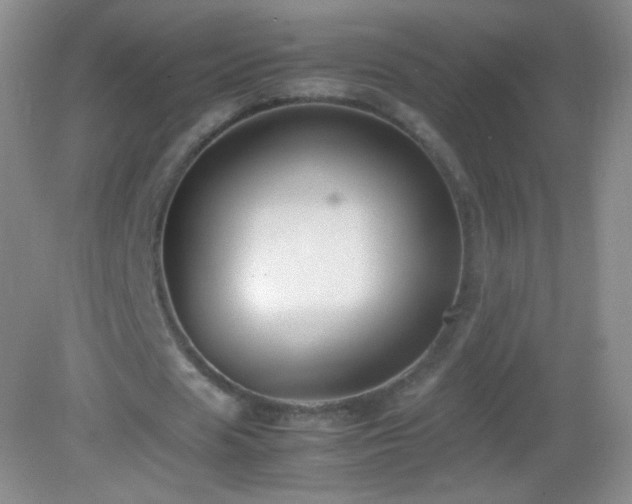 X0000082990625200702011430