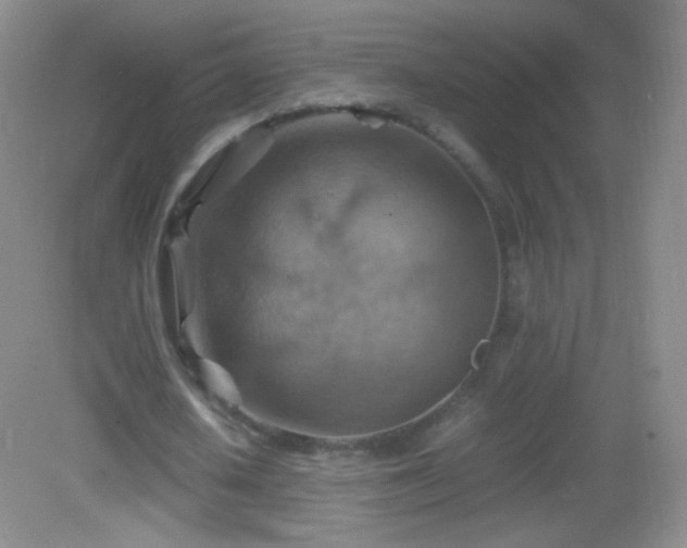 X0000082990626200702011430