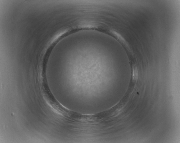 X0000082990627200702011430