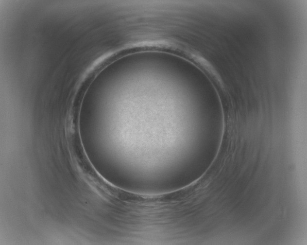 X0000082990628200702011430