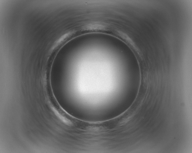 X0000082990629200702011430