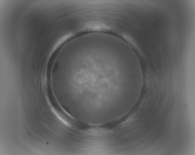 X0000082990630200702011430