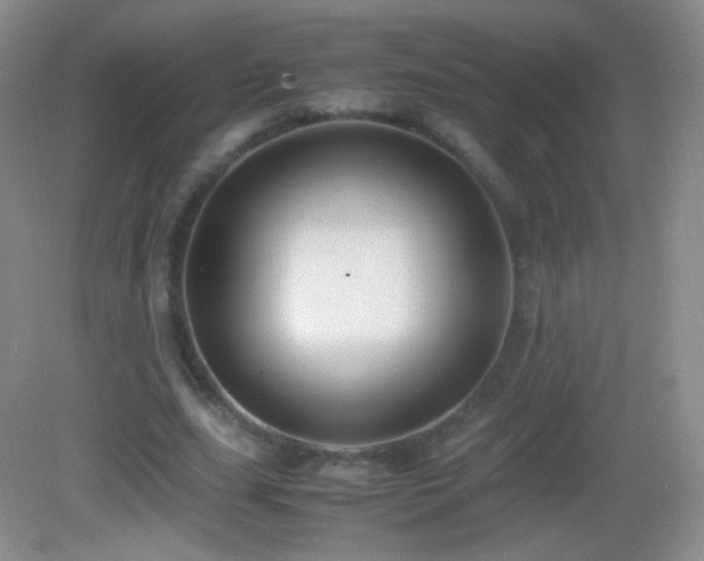 X0000082990631200702011430