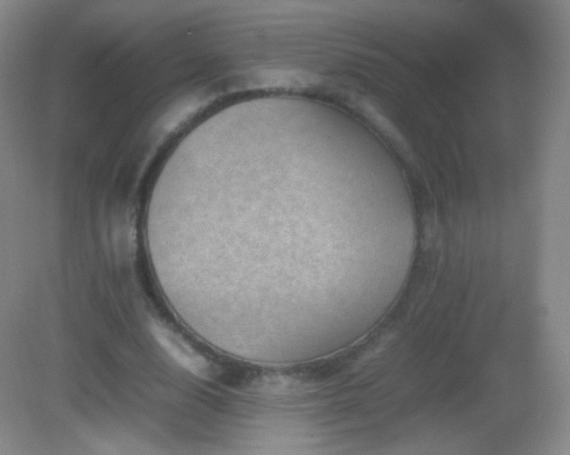 X0000082990632200702011430