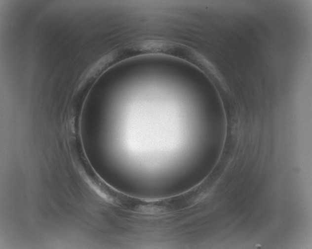 X0000082990633200702011430