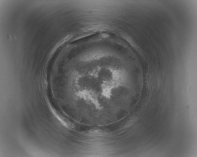 X0000082990634200702011430