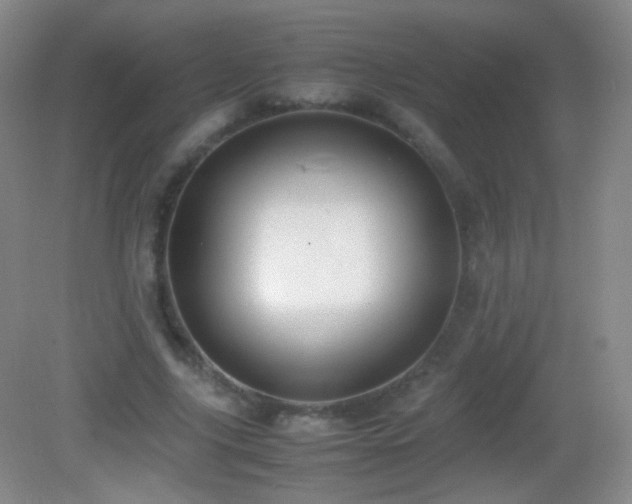 X0000082990635200702011430