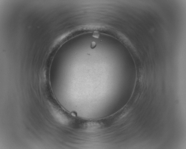 X0000082990636200702011430