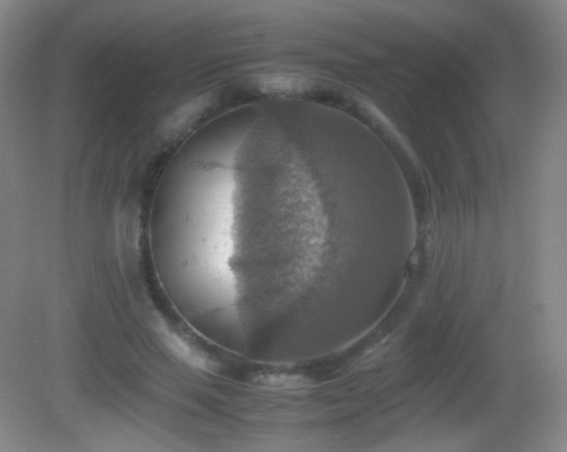 X0000082990637200702011430