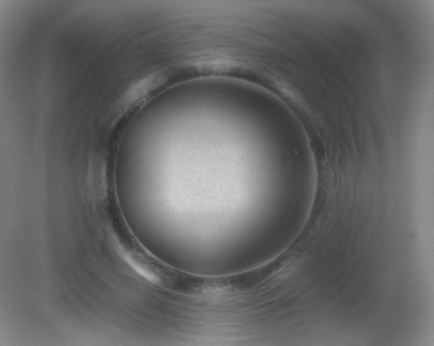 X0000082990638200702011430