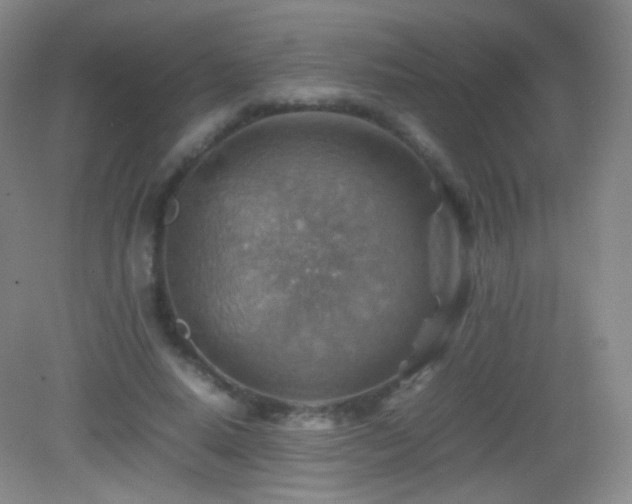 X0000082990640200702011430