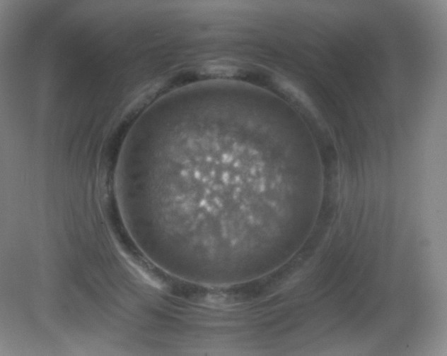 X0000082990641200702011430