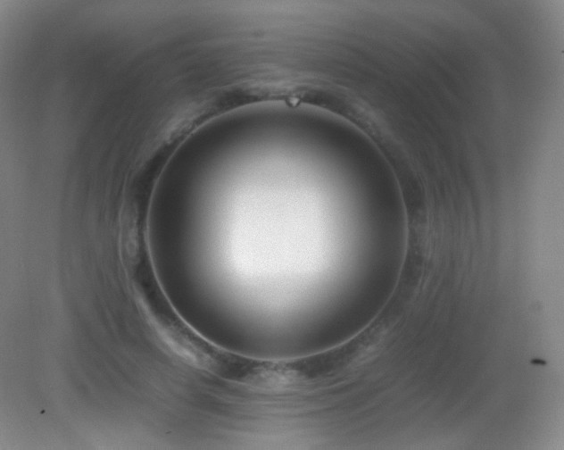 X0000082990642200702011430