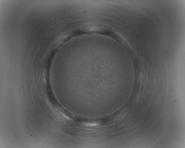 X0000082990643200702011430