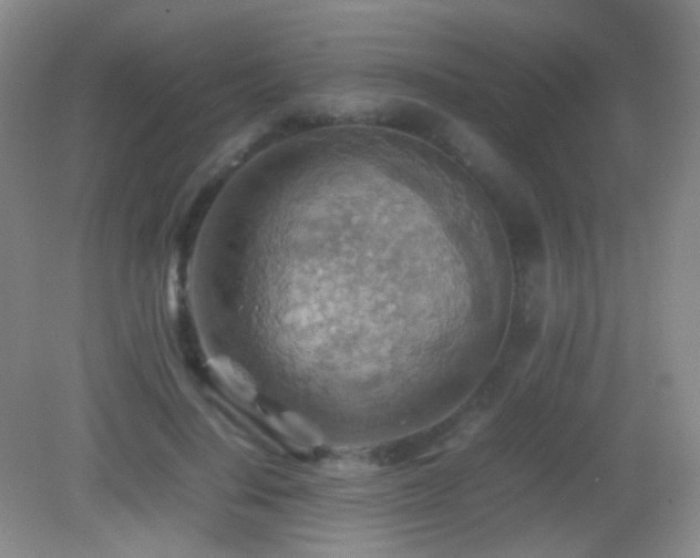 X0000082990644200702011430