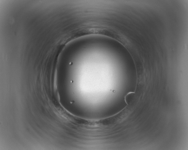 X0000082990646200702011430