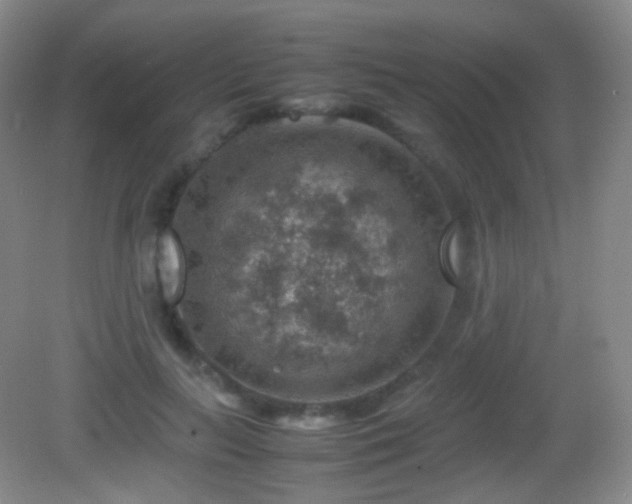 X0000082990647200702011430