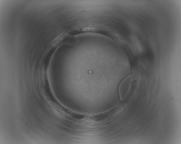 X0000082990648200702011430