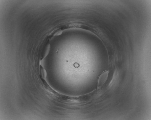 X0000082990649200702011430