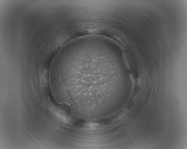 X0000082990650200702011430