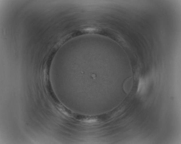 X0000082990651200702011430