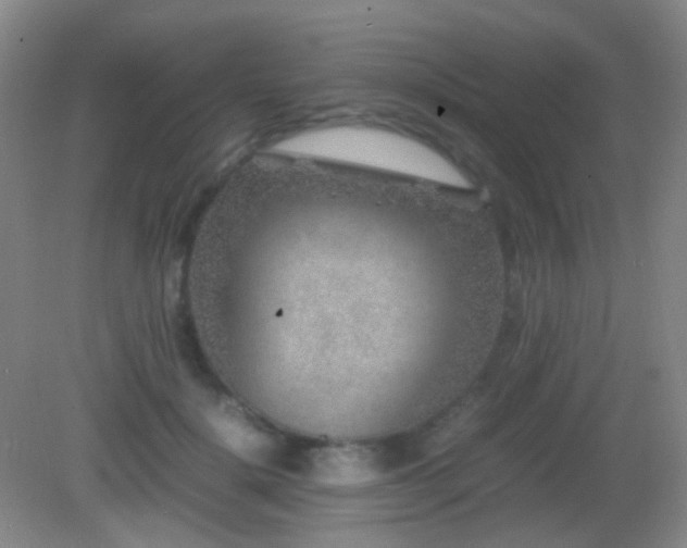 X0000082990652200702011430