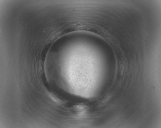 X0000082990654200702011430